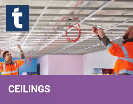 ceilings products
